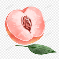 WWW,nnn54·COM网站APP